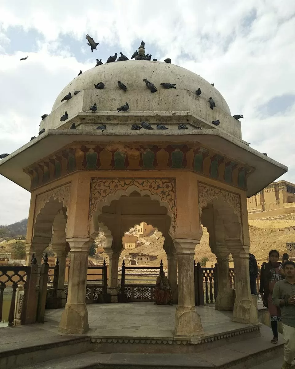Photo of Jaipur, Rajasthan, India by Bookmarkingearth