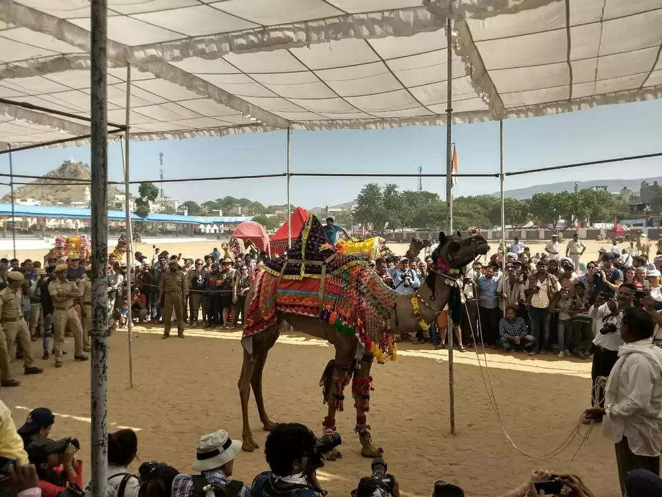 Photo of Pushkar, Rajasthan, India by Bookmarkingearth