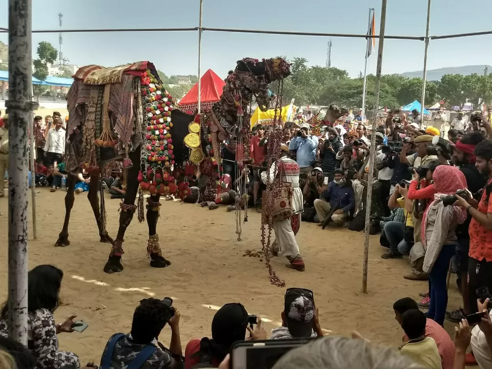 Photo of Pushkar, Rajasthan, India by Bookmarkingearth