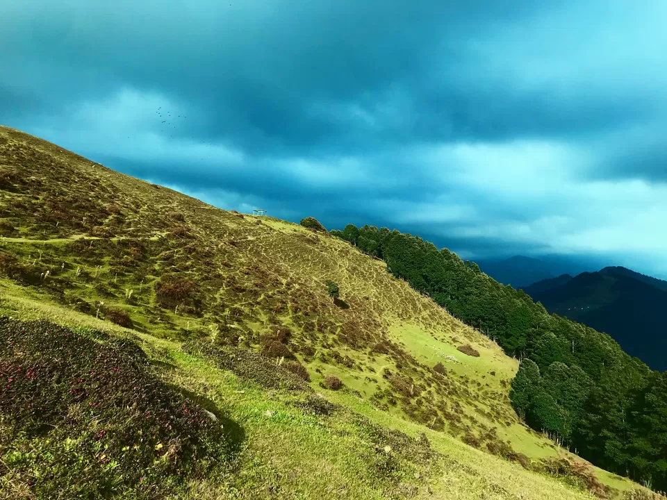 Photo of Jalori Pass, Jalori, Sajwar, Himachal Pradesh by Amroj Sandhu