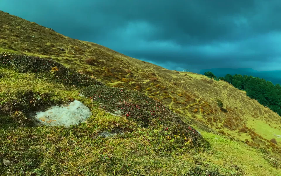 Photo of Jalori Pass, Jalori, Sajwar, Himachal Pradesh by Amroj Sandhu