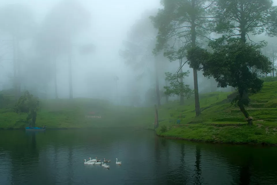 Photo of Lansdowne, Uttarakhand, India by Nivedita