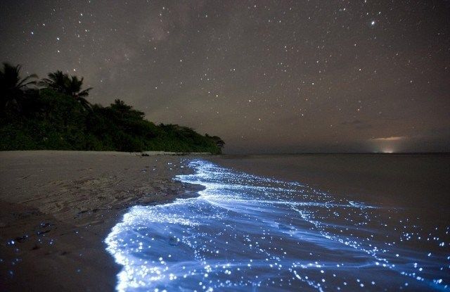Photo of Top 5 places you won’t Believe are on Planet Earth 4/5 by Paras Kumar