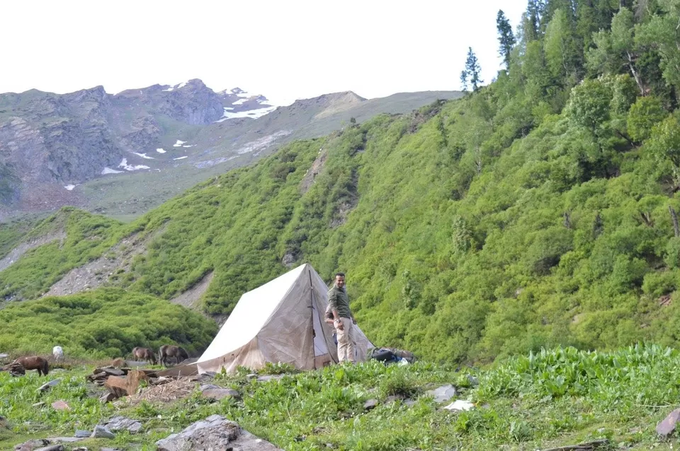 Photo of Dhundi, Himachal Pradesh, India by Atul Nigam
