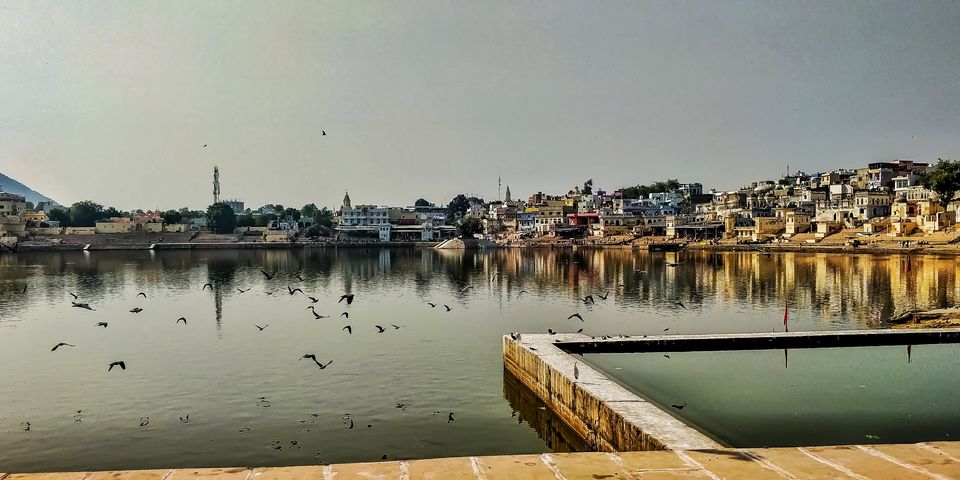 Photo of Exceptional Surprises of the Sacred Pushkar Ji 1/4 by Ankush Jindal