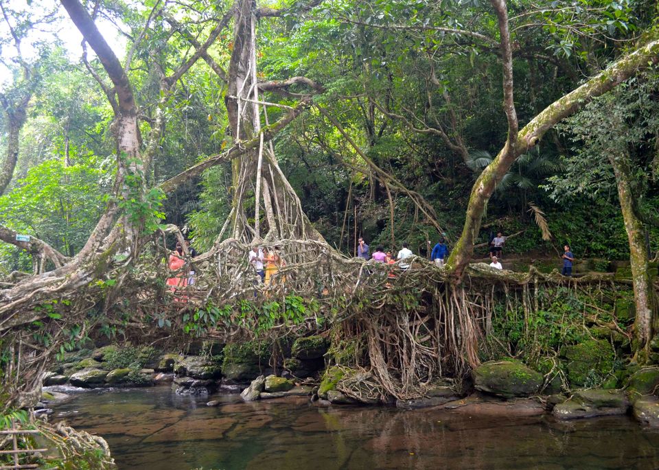 Photo of Why you will fall madly in love with Meghalaya? 4/9 by 100cobbledroads