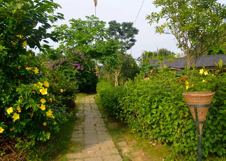 Photo of Why you will fall madly in love with Meghalaya? 5/9 by 100cobbledroads