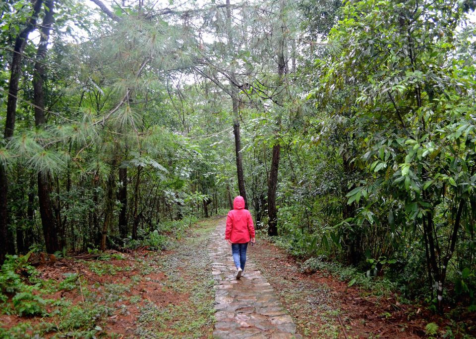 Photo of Why you will fall madly in love with Meghalaya? 9/9 by 100cobbledroads