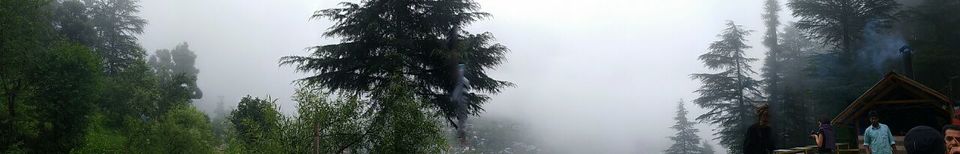 Photo of The land amidst the clouds: Dharamkot !! 1/11 by Yamini Gupta