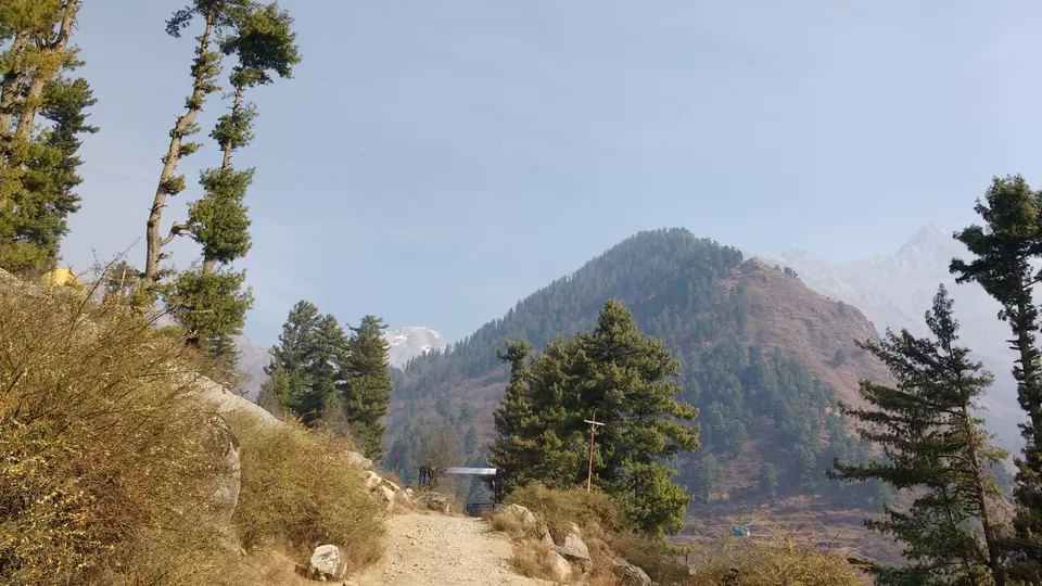 Photo of Tosh- The Unabashed Beauty of Nature by Yamini Gupta