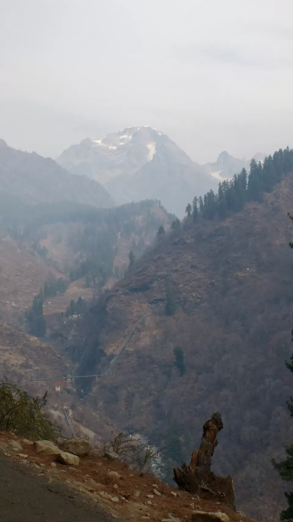 Photo of Tosh- The Unabashed Beauty of Nature by Yamini Gupta