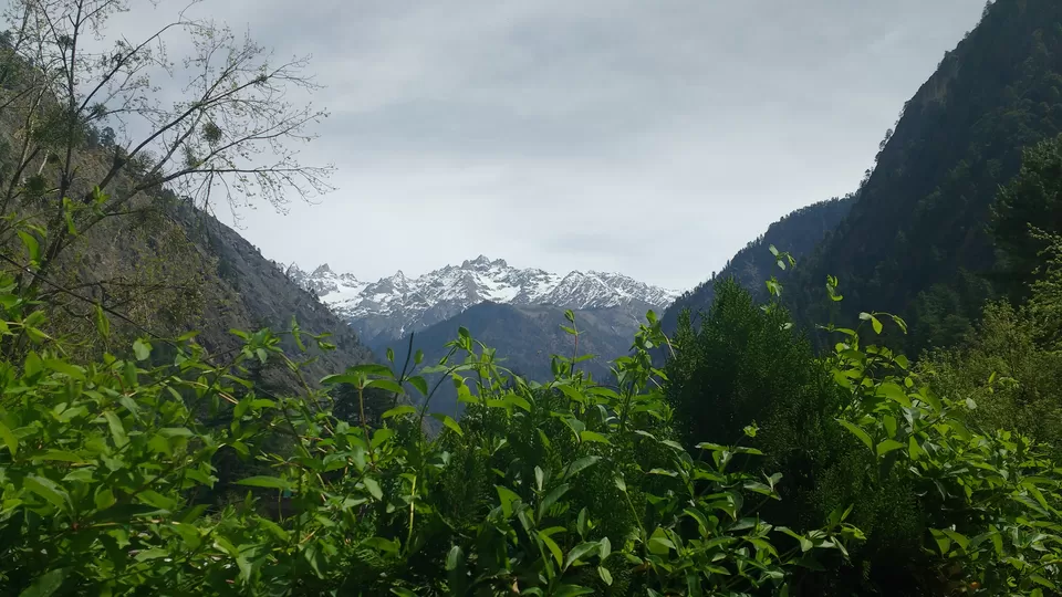 Photo of Tosh- The Unabashed Beauty of Nature by Yamini Gupta