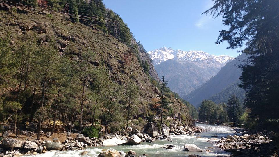 Photo of Tosh- The Unabashed Beauty of Nature by Yamini Gupta