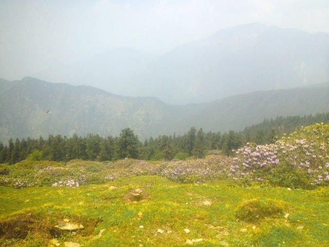 Photo of Something Less Explored 4/17 by Divya Merh