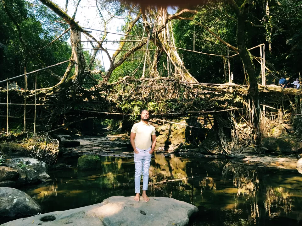 Photo of Living Root Bridge, Mawlynnong, Surok Mawlynnong, Mawlynnong, Meghalaya, India by Sagar Radhi