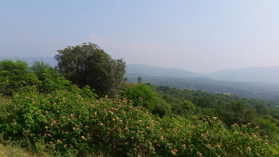 Photo of Road trip from Delhi to Mcleodganj by Vikas Gaur