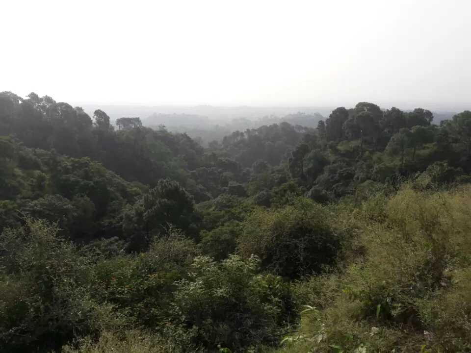 Photo of Road trip from Delhi to Mcleodganj by Vikas Gaur