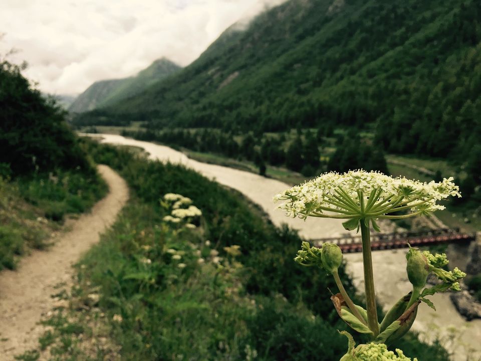 Photo of Kinnaur, Lahaul Spiti and Kullu 1/3 by Rahul Burman