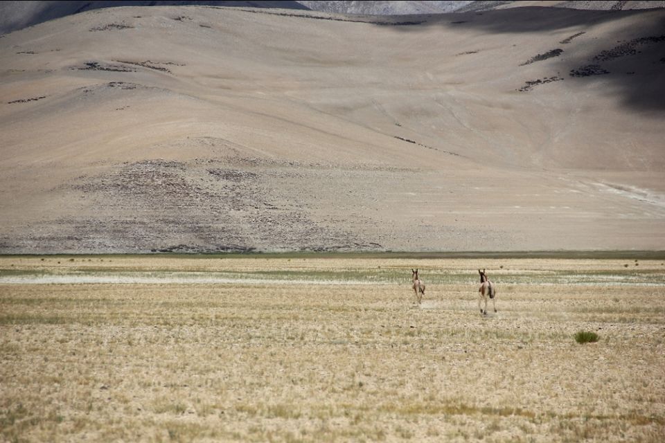 Photo of The TouR Of ThE FiRsTs :D First Solo tour spanning 29 days, 6 states, 8500km!! by Sagar S Krishna