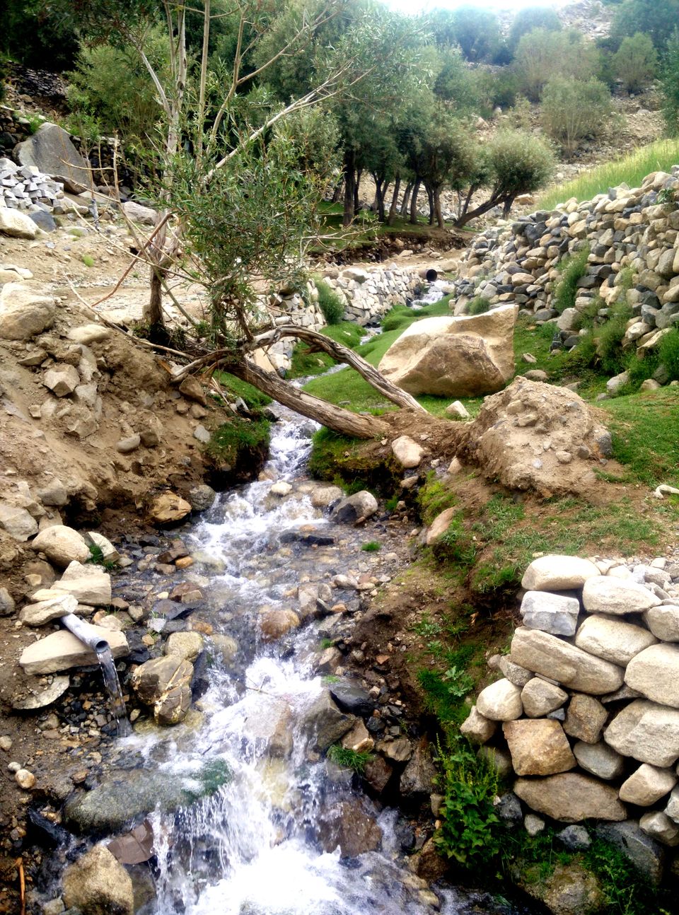Photo of Likir by Sagar S Krishna