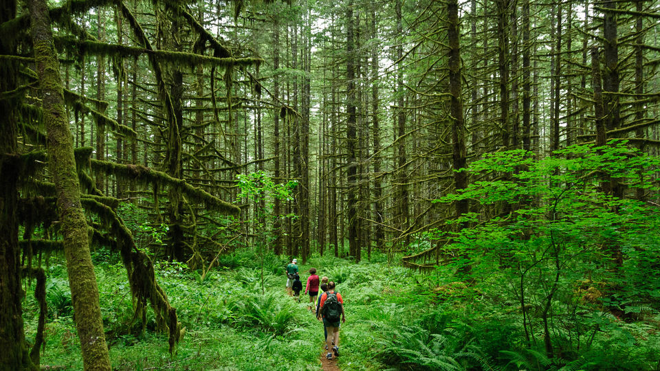 Photo of A Checklist For Your First Trek 7/9 by Neha Jagani