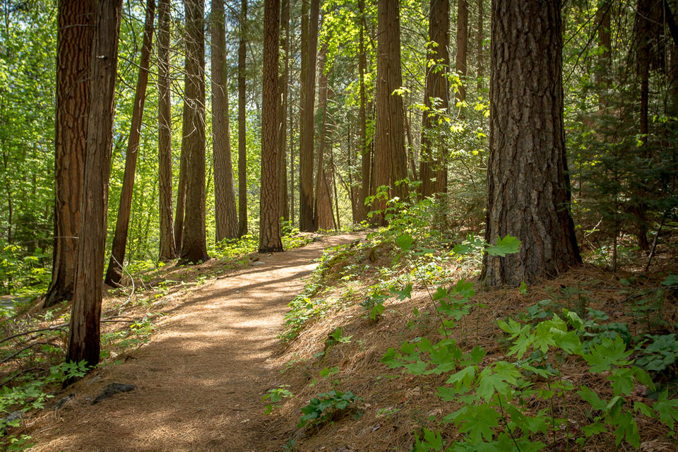 Photo of A Checklist For Your First Trek 6/9 by Neha Jagani