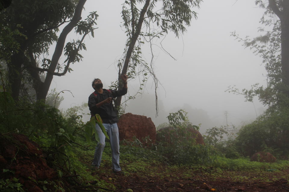 Photo of Hitchhike to the Land of Strawberries by Gaurav Jain