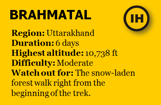 Photo of Top 5 Winter Treks In India That You Must Do by Indiahikes