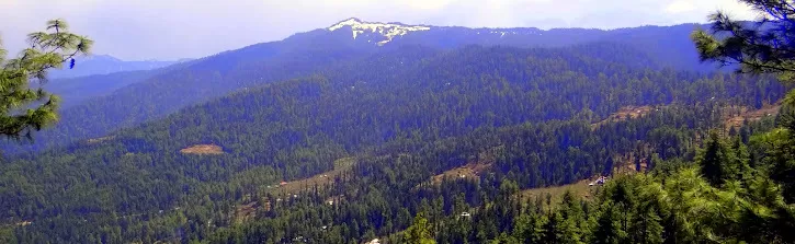Photo of Kuppar Peak, Shimla, Himachal Pradesh, India by Indiahikes