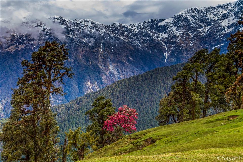 Photo of Why Deoriatal – Chandrashila Is The Best Himalayan Trek You Can Start With by Indiahikes