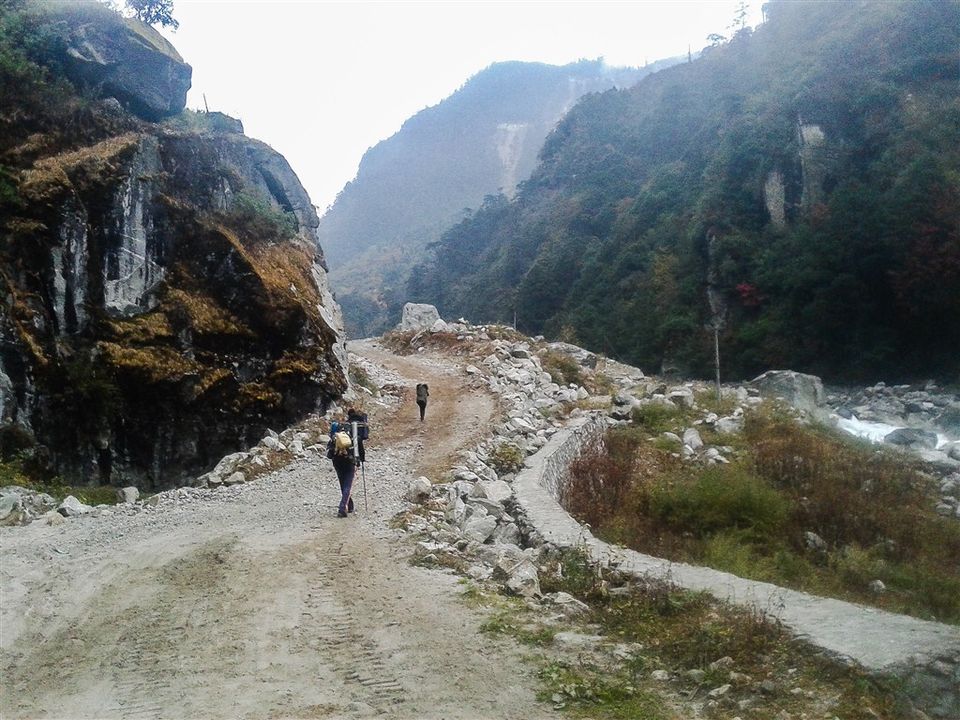 Photo of A Virgin Trail Has Been Explored In Arunachal Pradesh And You Can Trek It This January 1/5 by Indiahikes