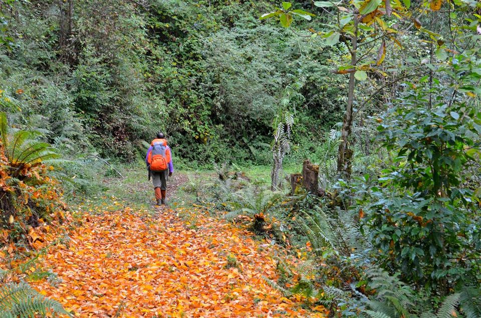 Photo of A Virgin Trail Has Been Explored In Arunachal Pradesh And You Can Trek It This January 3/5 by Indiahikes