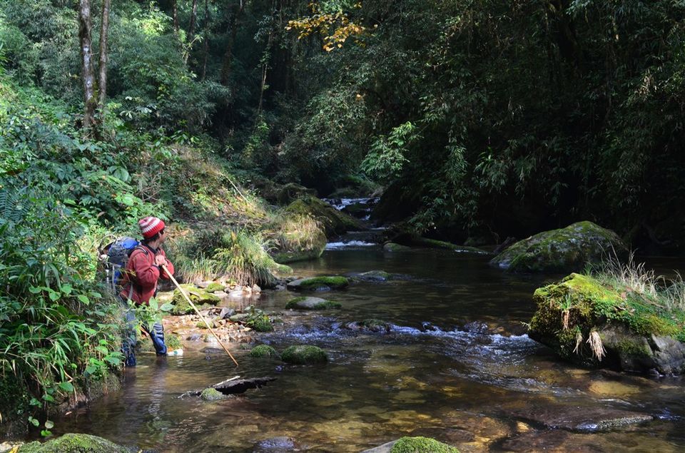 Photo of A Virgin Trail Has Been Explored In Arunachal Pradesh And You Can Trek It This January 4/5 by Indiahikes