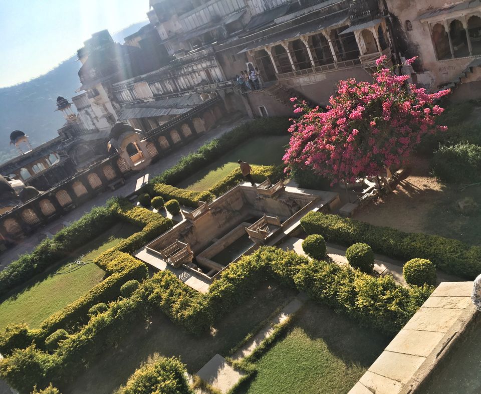 Photo of 7 Reasons Why Rajasthan Is Better Than Any International Destination! 7/7 by Priya Ravinder