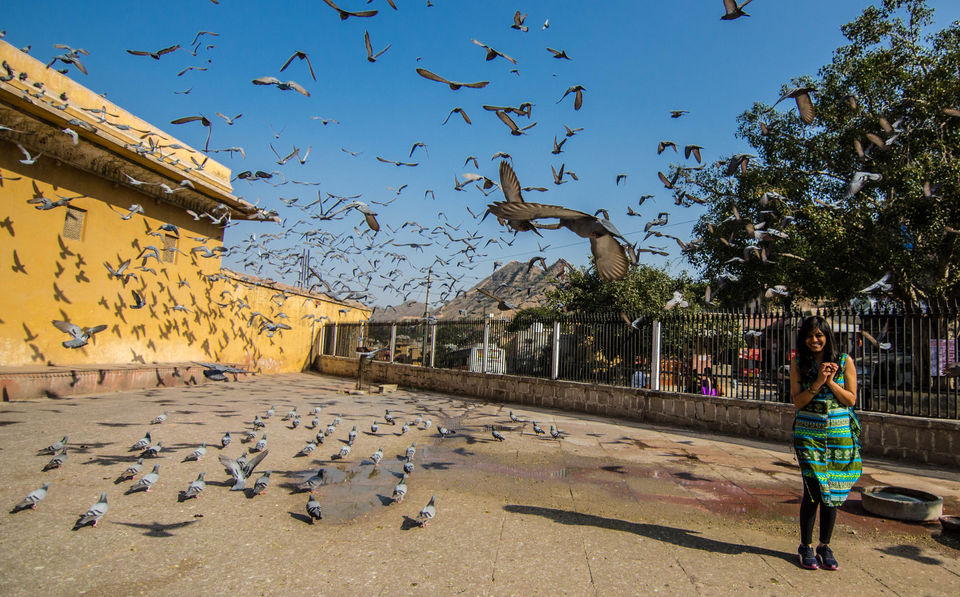 Photo of Places You Must Definitely Not Miss When In Rajasthan by Priya Ravinder