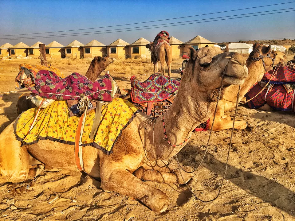 Photo of Jaisalmer, Rajasthan, India by Priya Ravinder