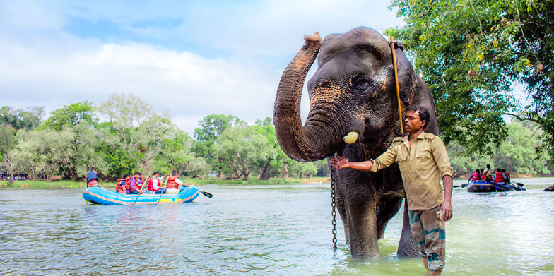 Photo of Dubare Elephant Camp, Nanjarayapatna, Karnataka, India by Aakanksha Magan