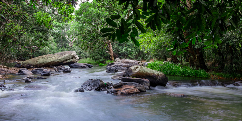 Photo of Iruppu Waterfall, Kurchi, Karnataka, India by Aakanksha Magan