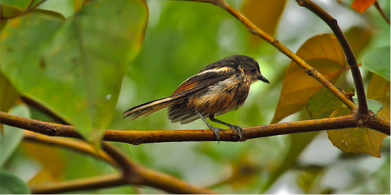 Photo of An In-House Chef, A Butler And Much More When You Stay at One of The Best Homestays in Coorg by Aakanksha Magan
