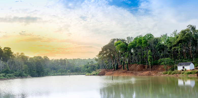 Photo of An In-House Chef, A Butler And Much More When You Stay at One of The Best Homestays in Coorg by Aakanksha Magan