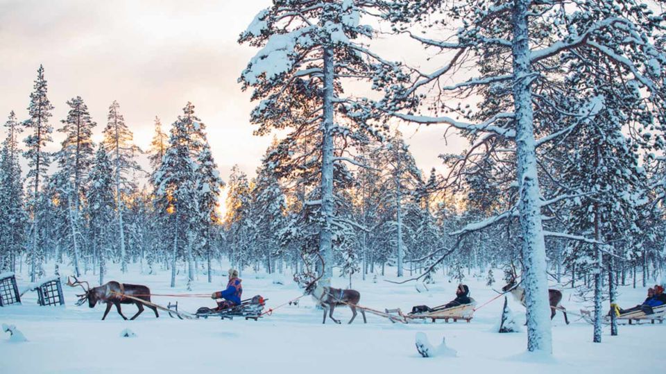 Photo of Wish To Sleep Under The Northern Lights In A Glass Igloo This Year? Start Saving Now! by Aakanksha Magan