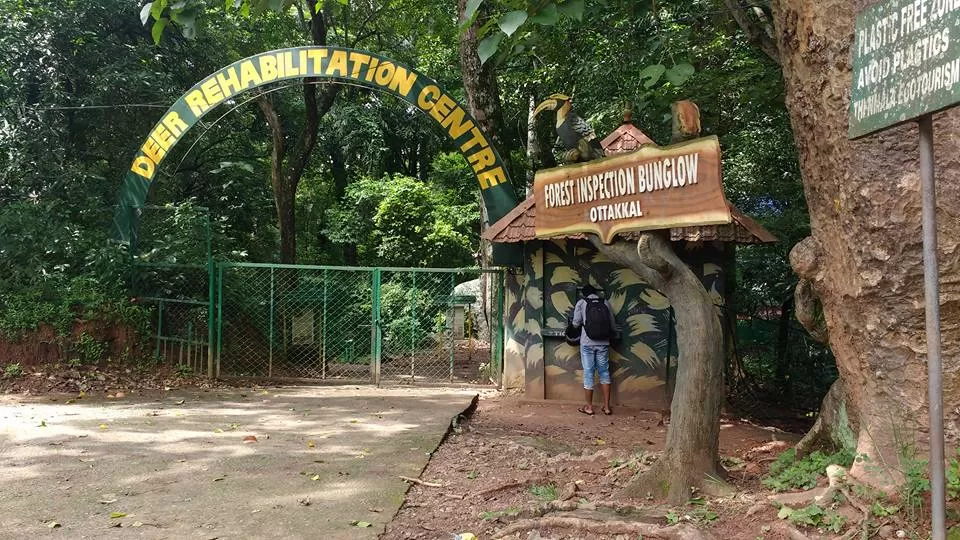 Photo of Deer Rehabilitation Centre, Mayam, Vazhichal, Kerala, India by Aakanksha Magan
