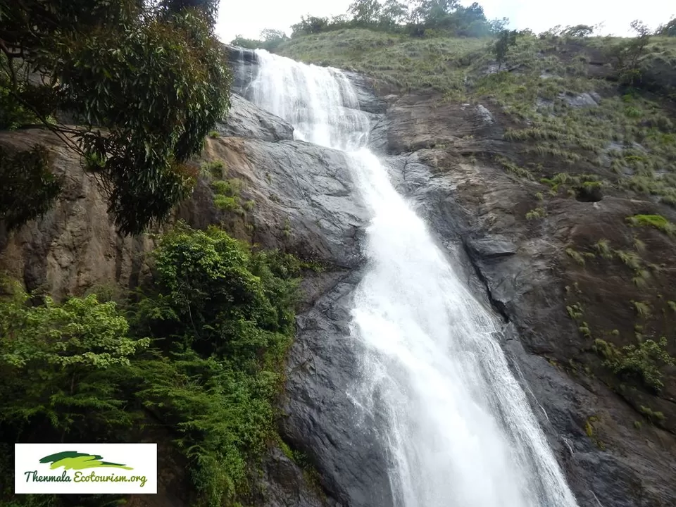 Photo of Palaruvi Waterfalls, Palaruvi, Kollam, Kerala, India by Aakanksha Magan
