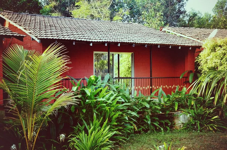 Photo of Step Aside Rishikesh! These Adventurous Things to Do in Dandelhi Will Blow Your Mind by Aakanksha Magan