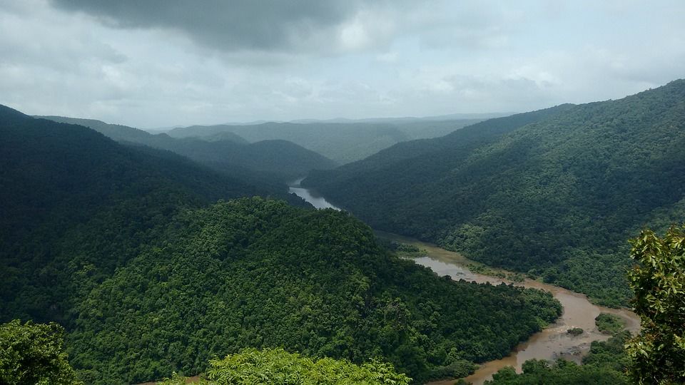 Photo of Dandeli, Karnataka, India by Aakanksha Magan