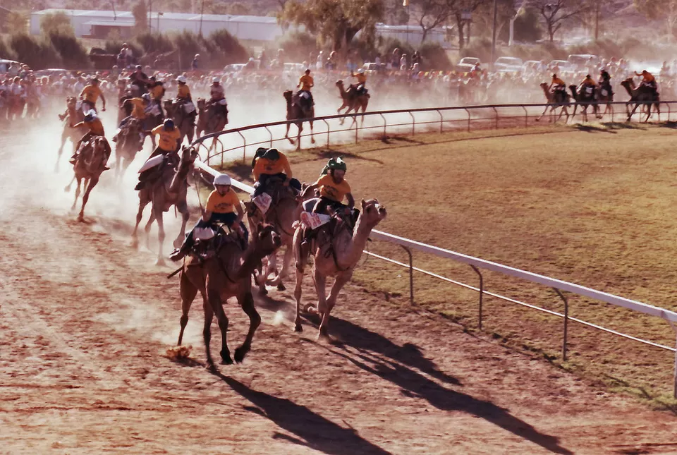 Photo of Camel Racing Track - Al Ain - United Arab Emirates by Aakanksha Magan