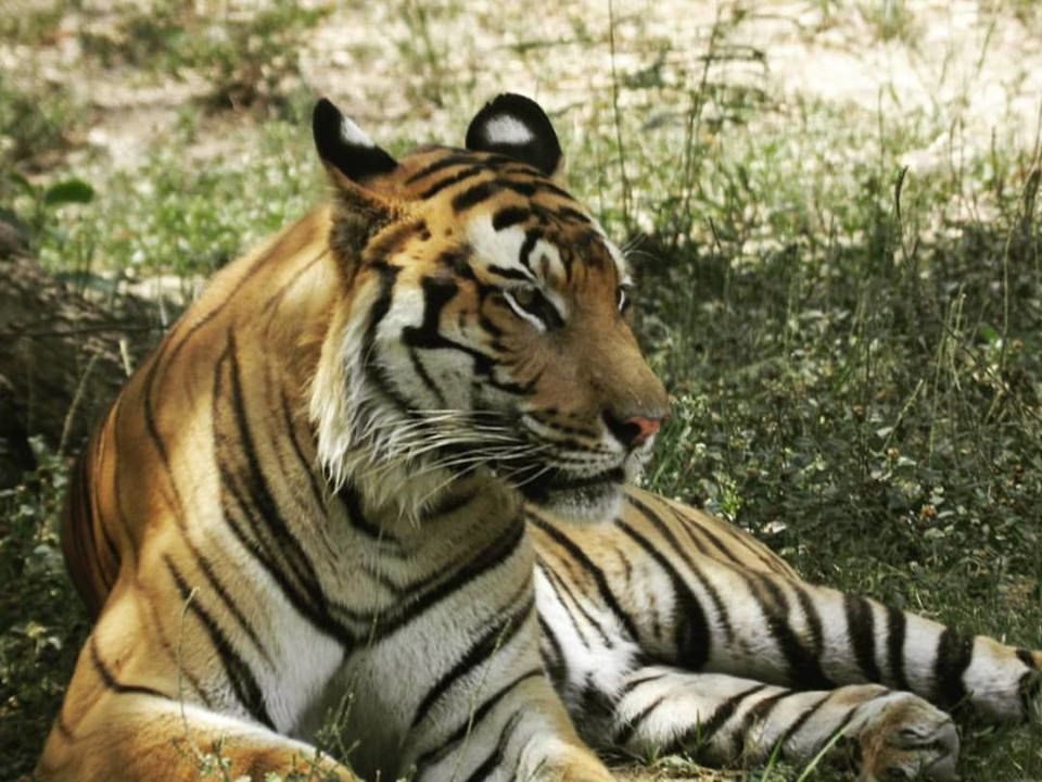 Photo of Rajasthan Sightseeing: A Captivating State That Leaves You Surprised With Every Visit by Aakanksha Magan