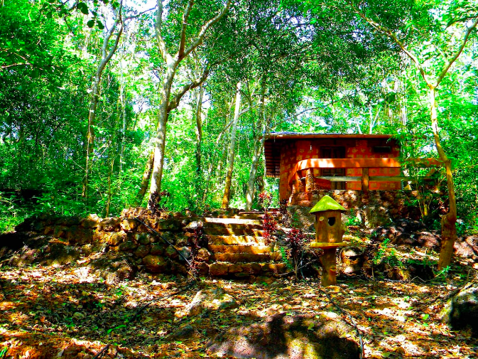 Photo of Olaulim, Goa, India by Aakanksha Magan
