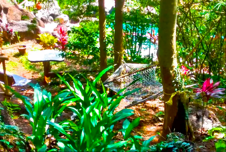 Photo of This Secluded Cabin In The Woods In Goa Is Perfect For Those Seeking A Romantic Getaway by Aakanksha Magan