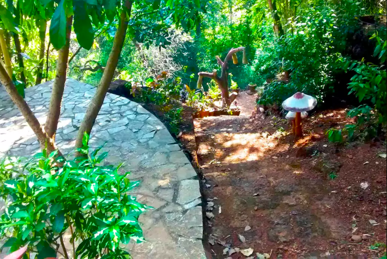 Photo of This Secluded Cabin In The Woods In Goa Is Perfect For Those Seeking A Romantic Getaway by Aakanksha Magan